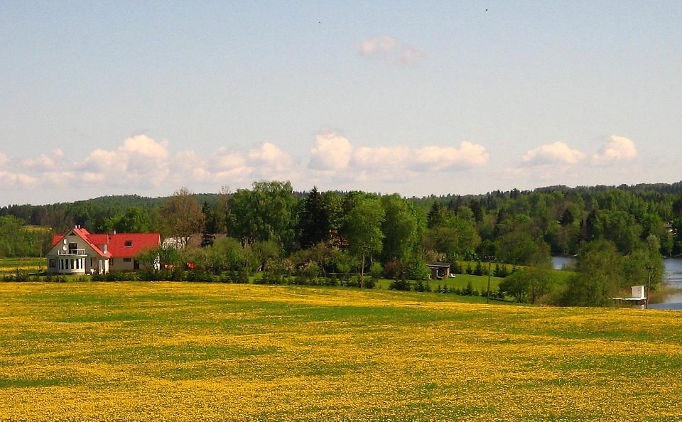 Nõuni järv maikuus