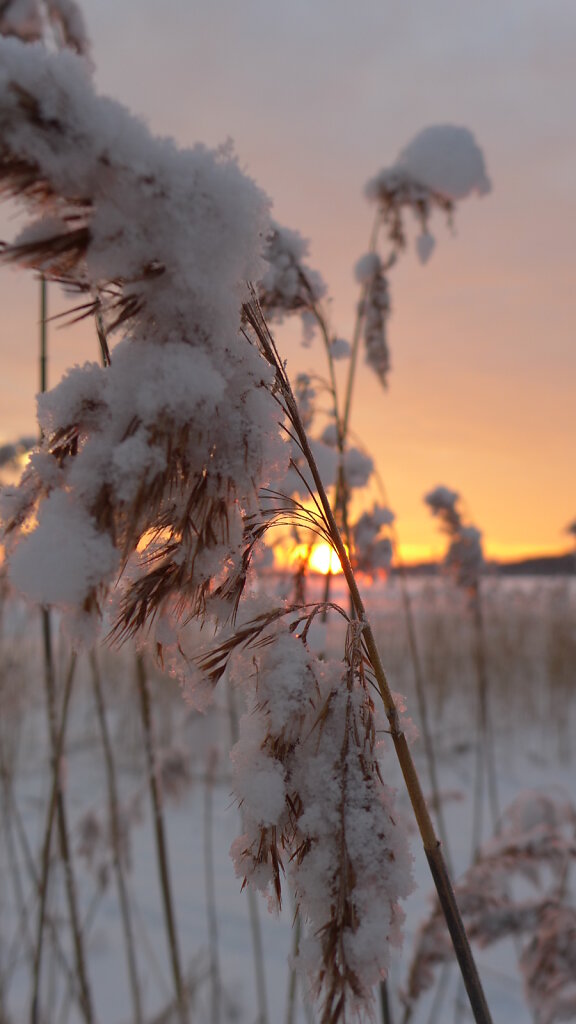 Loojang Klooga järvel