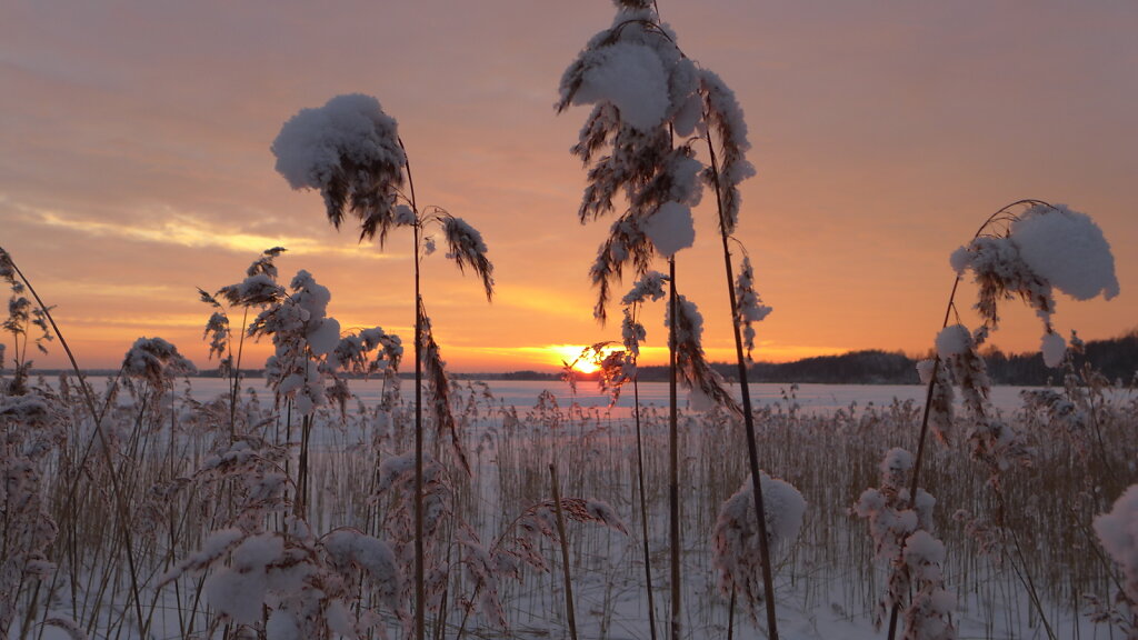 Loojang Klooga järvel