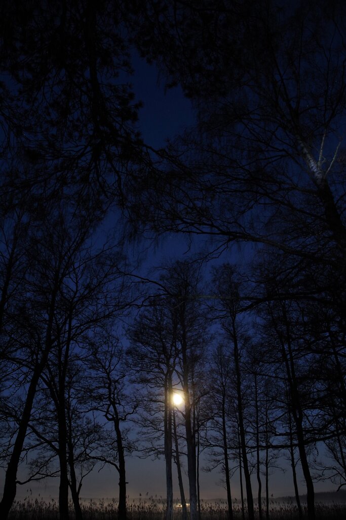 Varahommikune järvekallas ja kuu