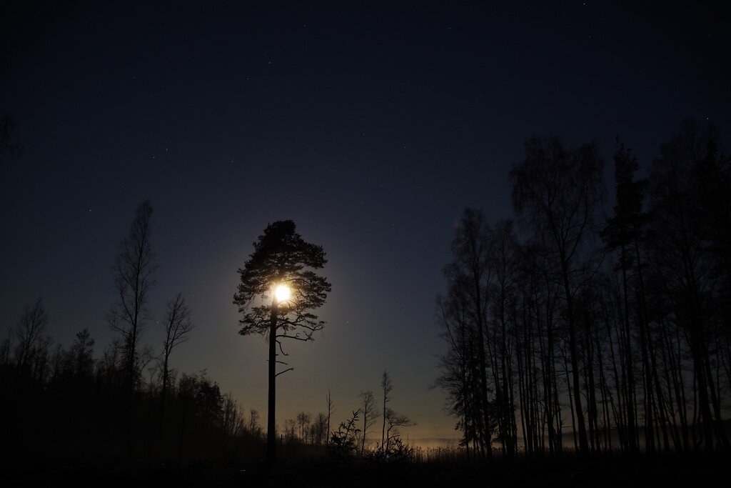 Varahommikune järvekallas ja kuu